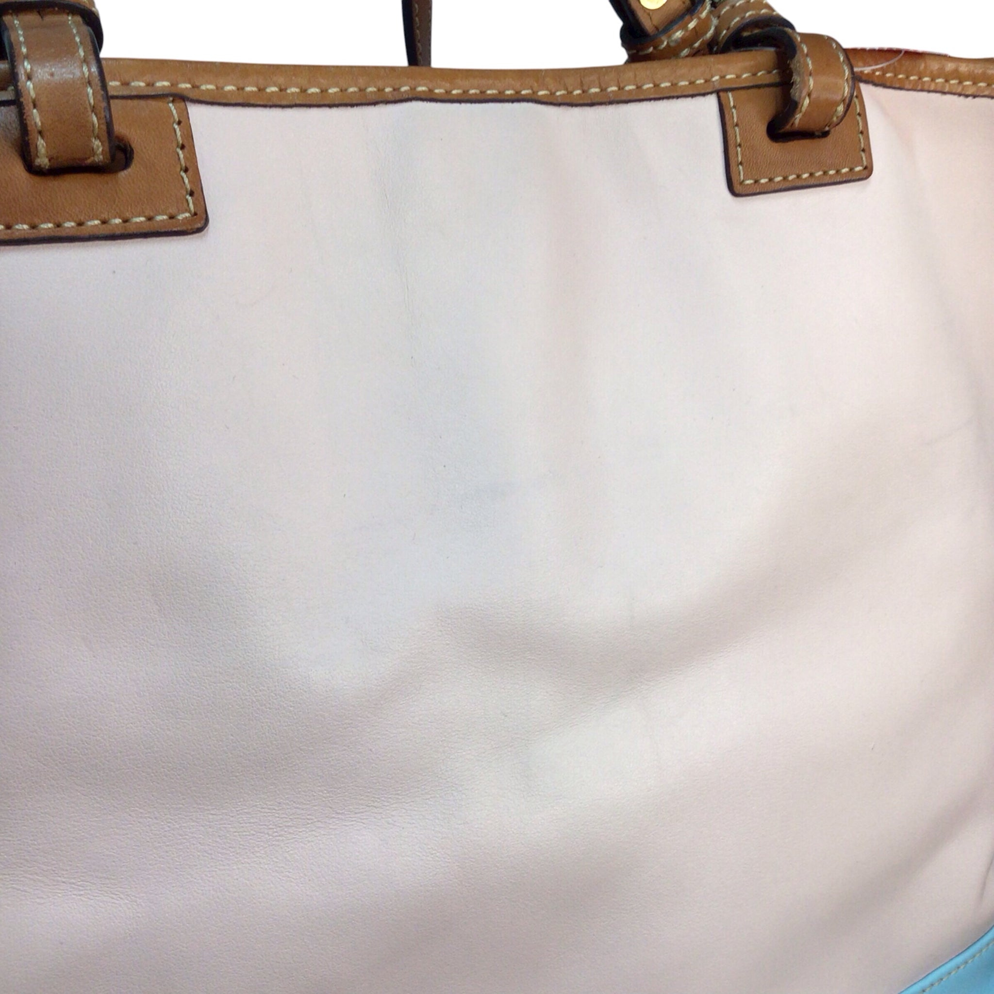 Dooney & Bourke Pink/Blue Shoulder Bag