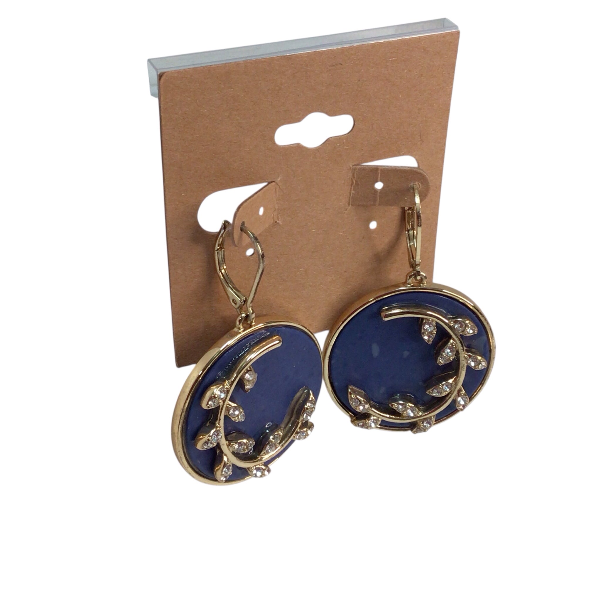 Blue And Gold Circle Earrings