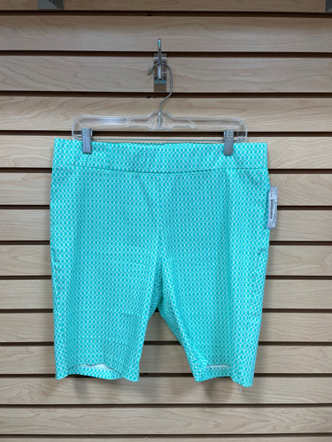 Ashley Blue Shorts Green And White SIze X-Large