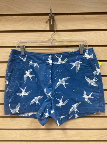 Juniper+Lime Shorts Size 10