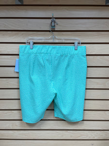 Ashley Blue Shorts Green And White SIze X-Large