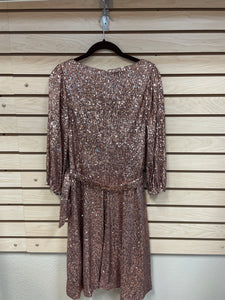 DKNY Long Sleeve Dress Bronze Size Petite 10